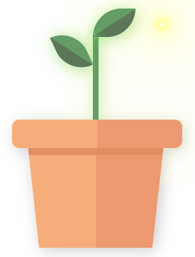 Plant illustration